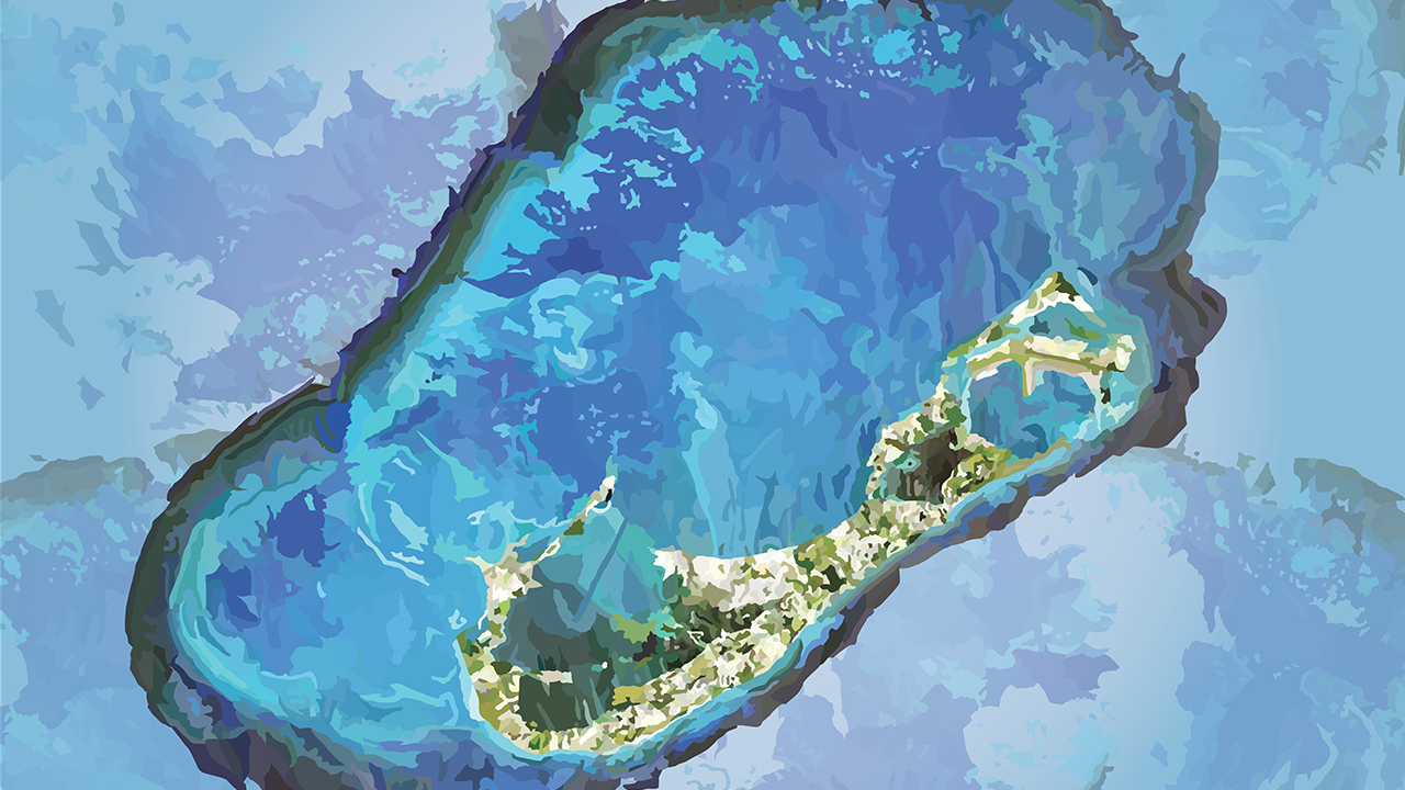 I tediously traced a posterized aerial photo of Bermuda with my makeshift lightbox and 0.05 point fine liner pen.